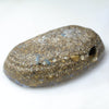 Natural Australian  Boulder Opal  Pendant  (Length 27mm x Width 15mm) Code-SD318