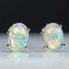 Natural Australian Crystal Opal Gold Earring Studs (6mm x 4mm) Code GE92