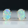 Natural Australian Crystal Opal Gold Earring Studs (6mm x 4mm) Code GE92