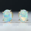 Natural Australian Crystal Opal Gold Earring Studs (6mm x 4mm) Code GE92