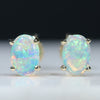 Natural Australian Crystal Opal Gold Earring Studs (6mm x 4mm) Code GE92