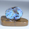 Natural Australian Queensland Opal Specimen