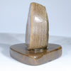 Solid Opal Specimen Opposite Side View
