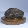 Boulder Opal Specimen Rear View