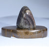 Boulder Opal Specimen Rear View
