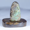 Natural Australian Boulder Opal Specimen