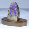 Natural Boulder Opal Polished Specimen - Code  SC25
