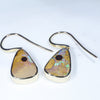 Natural Queensland boulder Opal