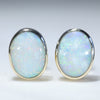 Natural Australian White Opal Gold Stud Earrings