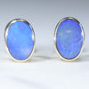 Natural Australian Boulder Opal Gold Stud Earrings