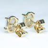 Solid Opal Gold Studs Rear View