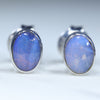 Natural Australian Queensland Boulder Opal Silver Studs