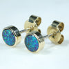 10k Gold - 2 Solid Queensland Boulder Opals 