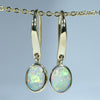 Stunning Natural Opal Colours
