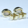 Natural Australian Crystal Opal Gold Earring Studs (7 x 5mm) Code EE58